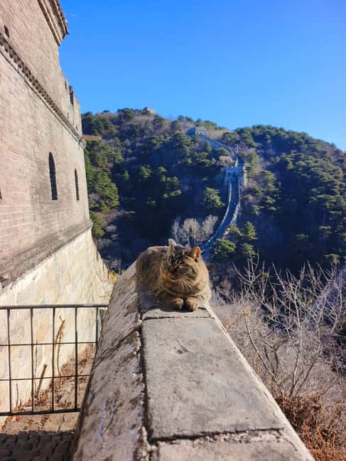 Beijing:Mutianyu Great Wall Private Tour with English Driver - Value for $85 per person, what you are really buying