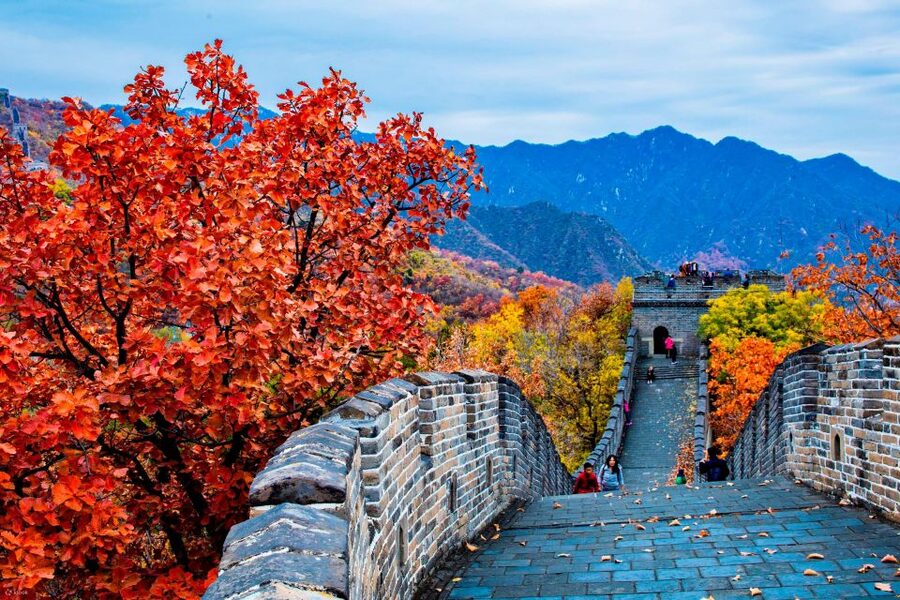 Beijing: Mutianyu Great Wall Private Tour with VIP Fast Pass - VIP Fast Pass Logistics: What It Actually Changes