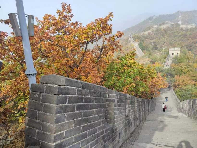Beijing:Mutianyu Great Wall Private Trip with English Driver - Cable car and toboggan options, and when they are worth the extra cost