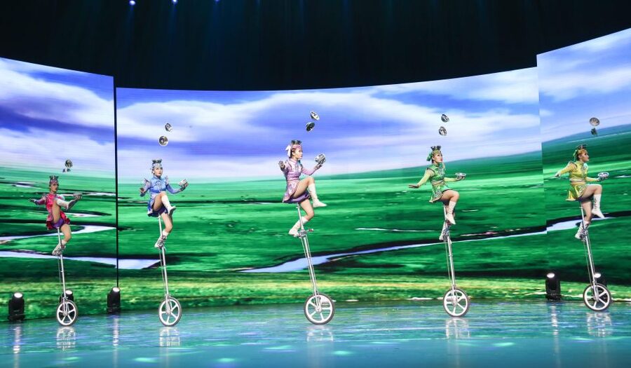 Beijing Night Tour with Acrobatics Show & PekingDuck Dinner - What hotel pickup and a private group actually change for you