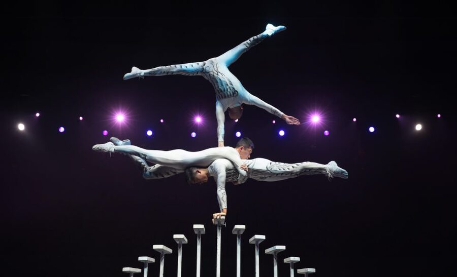 Beijing Night Tour with Acrobatics Show & PekingDuck Dinner - Who should book this tour, and who should skip it
