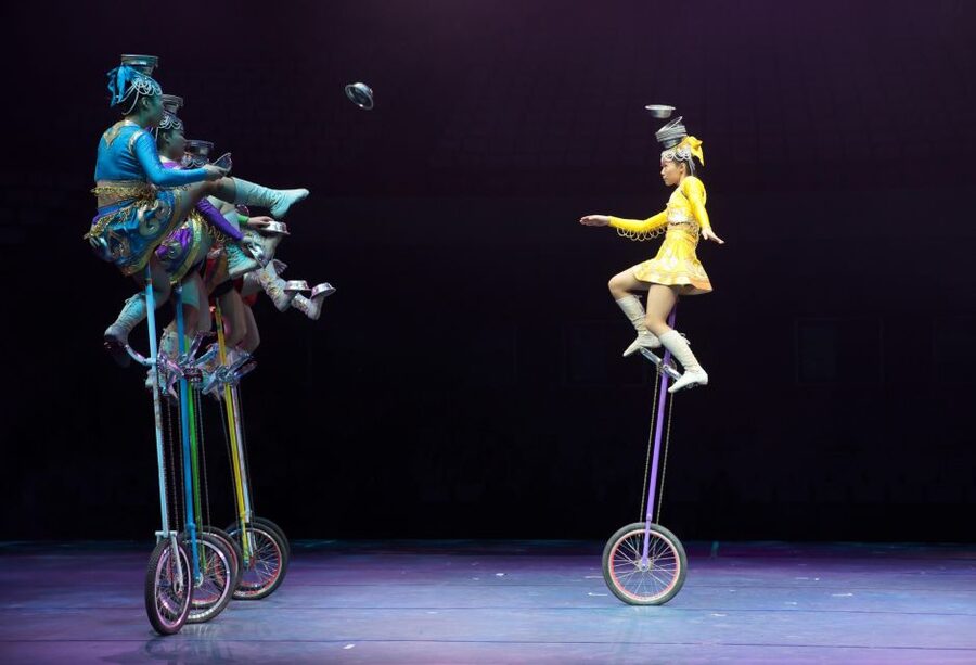 Beijing Night Tour with Acrobatics Show & PekingDuck Dinner - Should you book the Beijing Night Tour with Acrobatics and Peking Duck?