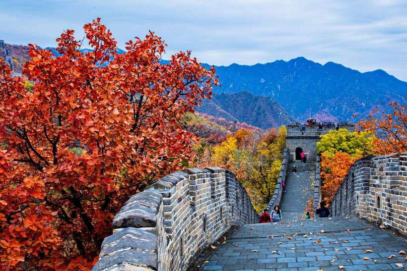 Beijing: Panda House w/Great Wall or City Sites Private Tour - Price and value: what $144 per person is really buying