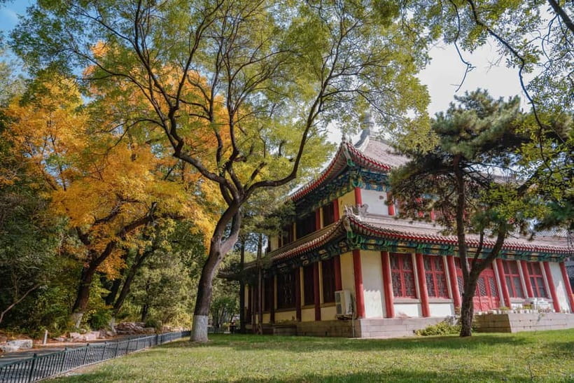 Beijing: Peking University Campus Guided Walking Tour - Traditional Chinese gardens and courtyards: the design logic behind the calm