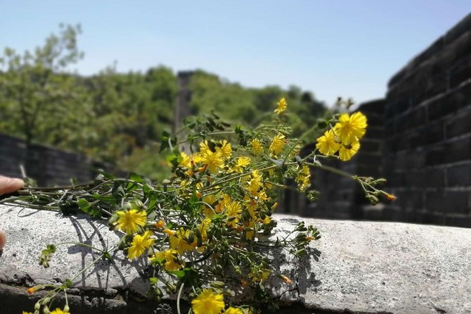 Beijing Private Transfer: Badaling Great Wall with VIP Past Pass - Price and value, what the $54 per person really covers