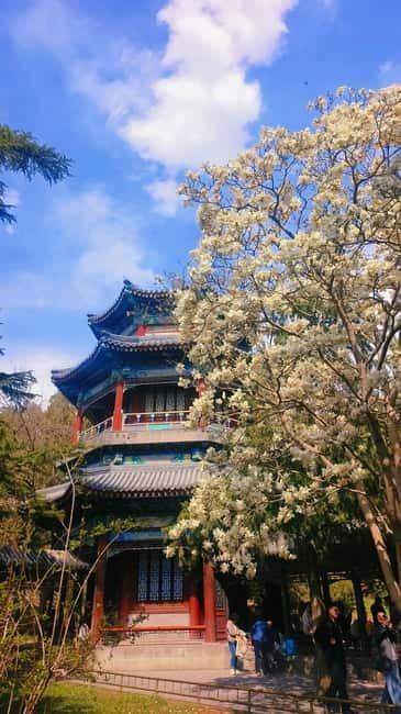 Beijing: Summer Palace Highlight Walking Tour - The Four Great Regions and what Buddhist cosmology does for you