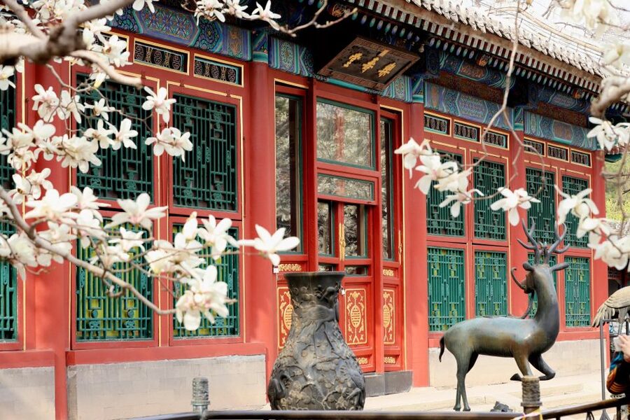 Beijing: Summer Palace, Sacred Road&Ming Tombs Private Tour - Sacred Way at Ming Tombs: stone guardians that look better up close