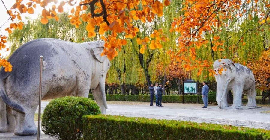 Beijing: Summer Palace, Sacred Road&Ming Tombs Private Tour - Hotel pickup and how the 8-hour day actually feels