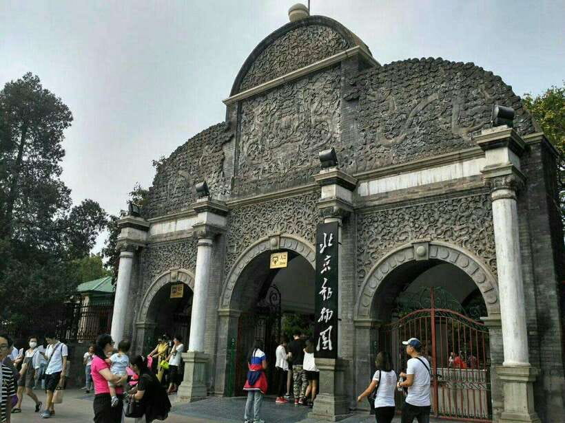 Beijing: The Beijing Zoo Entry Ticket with Pandas - Quick hits before you go