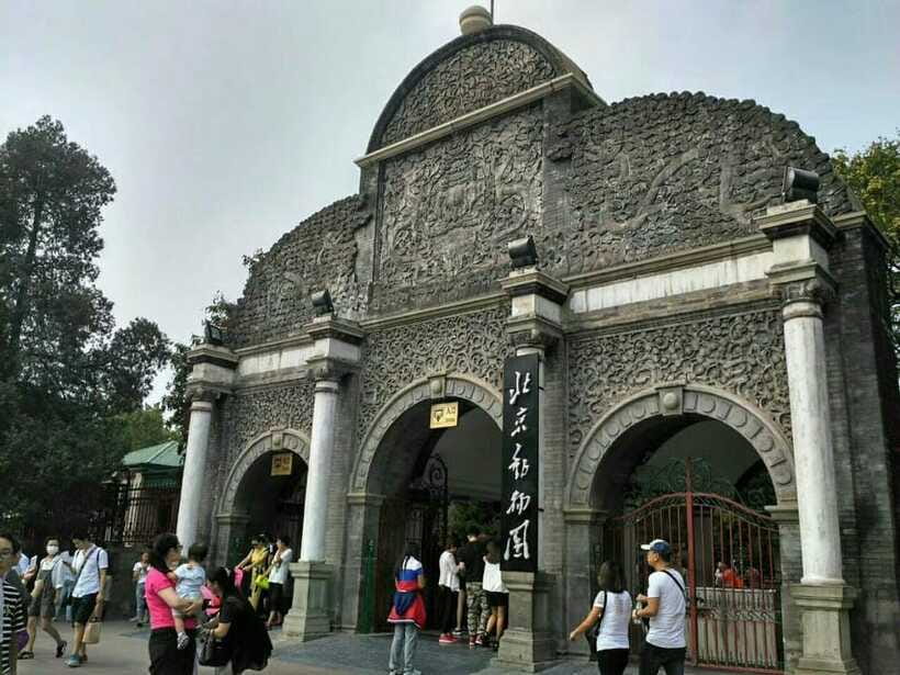 Beijing: The Beijing Zoo Entry Ticket with Pandas - Panda House first: how to structure your 3-hour route