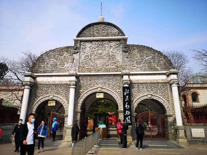 Beijing: The Beijing Zoo Entry Ticket with Pandas - Polar bears, bison, zebras, giraffes, kangaroos, and elephants