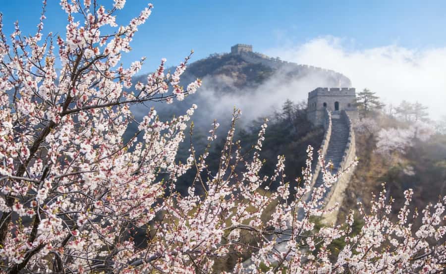 Beijing: Tiananmen, Forbidden City, and Wall Private Tour - A Full-Day Hit List: Tiananmen Square, Forbidden City, and Mutianyu