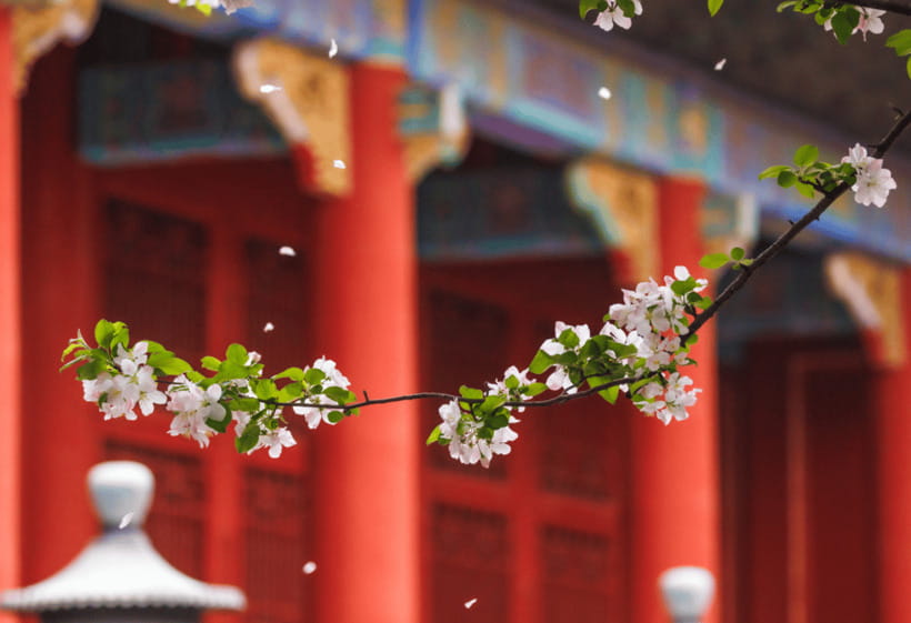 Beijing: Tiananmen Square and Forbidden City Entry Tickets - Hutong local food small group: Beijing beyond the main gates
