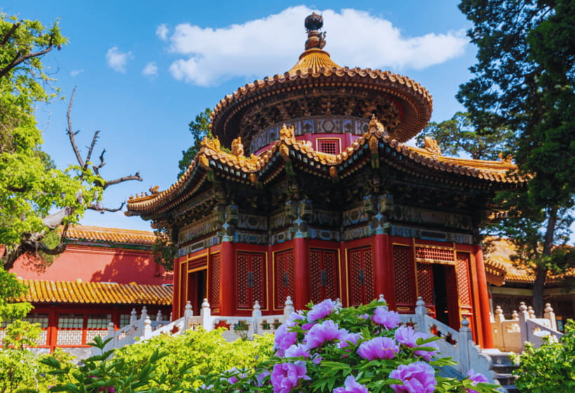 Beijing: Tiananmen Square and Forbidden City Entry Tickets - Panda House at Beijing Zoo: a family-friendly add-on that still feels purposeful