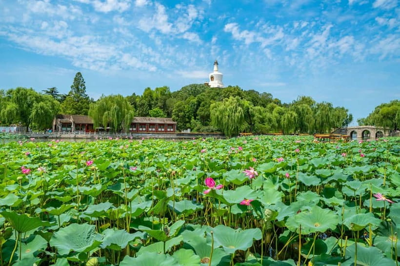 Beijing: Tiananmen Square & Forbidden City Guided Tour - Inside the Forbidden City for about 3 hours: a walk that focuses on meaning