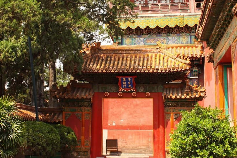 Beijing: Tiananmen Square & Forbidden City Tickets & Tours - Panda House at Beijing Zoo: a fun family-friendly reset