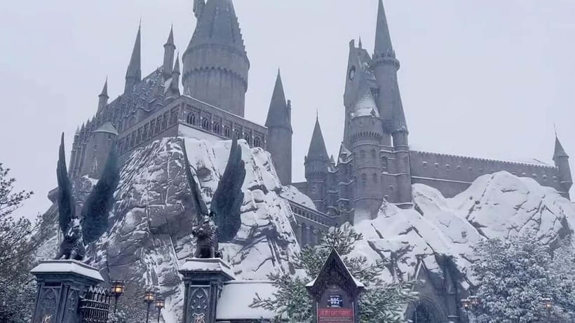 Beijing Universal studios 1 day private tour (opt) - Transfer and Entry Rules: Passport Details That Matter
