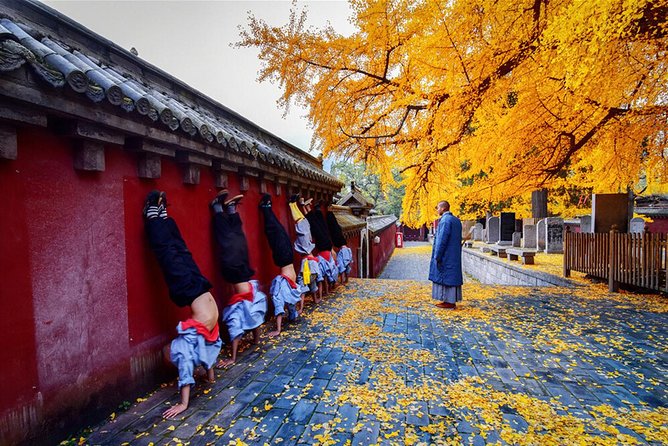 Best Luoyang Private One Day Tour - Meeting point and timing: the small details that prevent stress