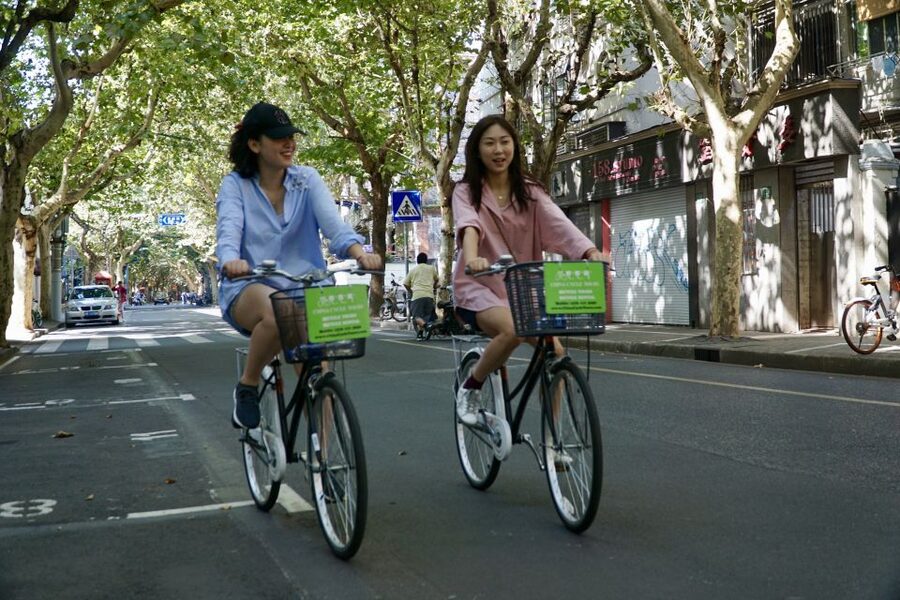 Biking Real Shanghai& Tea Tasting Experience - Fuxing Park time: why this stop feels real