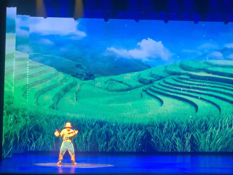 Chaoyang Acrobatics Ticket - Seating at Standard Seats and how to get a good view