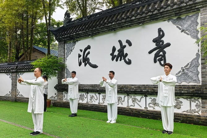 Chengdu Kung Fu Panda Tour Tai Chi, Martial Arts and Panda Base - Who should book this tour, and who might skip it