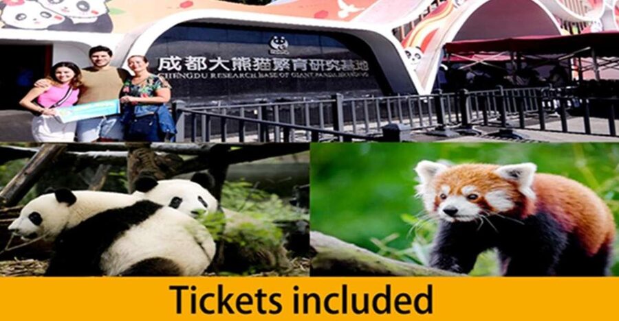 Chengdu panda base half day tour - Meeting at Exit A, Panda Avenue, and finding your guide fast