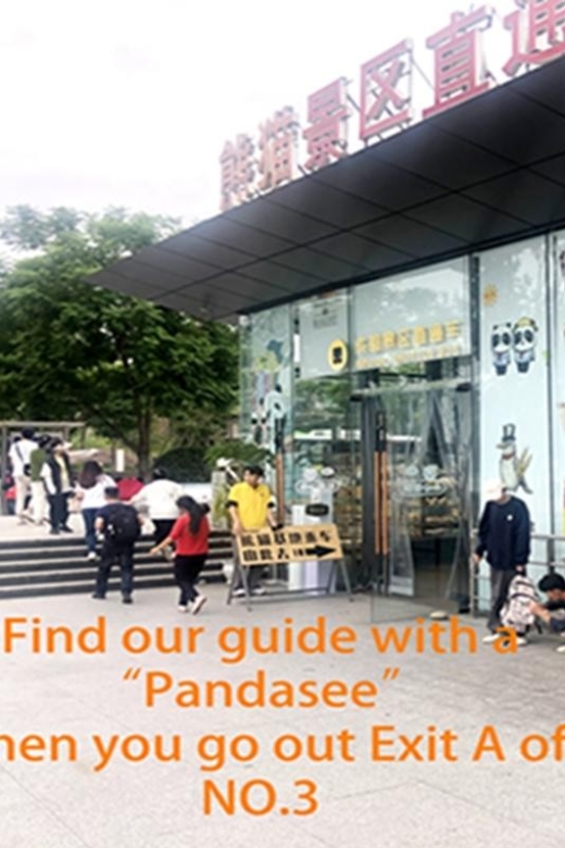 Chengdu panda base half day tour - The quick public bus ride, clean and air-conditioned