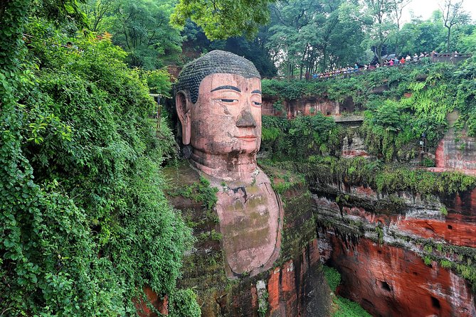 Chengdu: Panda Base Leshan Buddha Tour(or Half Day Panda Base ) - A One-Day Panda And Leshan Buddha Combo That Actually Fits