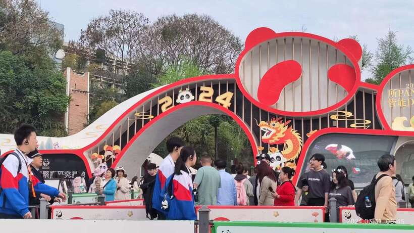 Chengdu: Panda Breeding Base Tickets Booking - Key things to know before you go