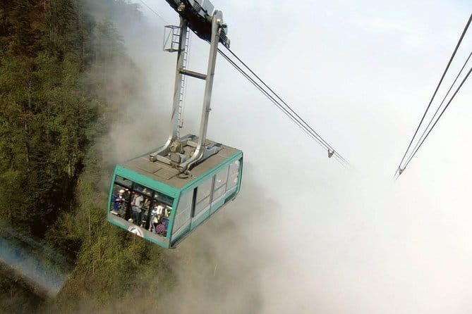 Chengdu Private Day Tour to Emei Mountain with Lunch and Cable Car Ride - Chengdu to Mount Emei, without the day getting swallowed by logistics