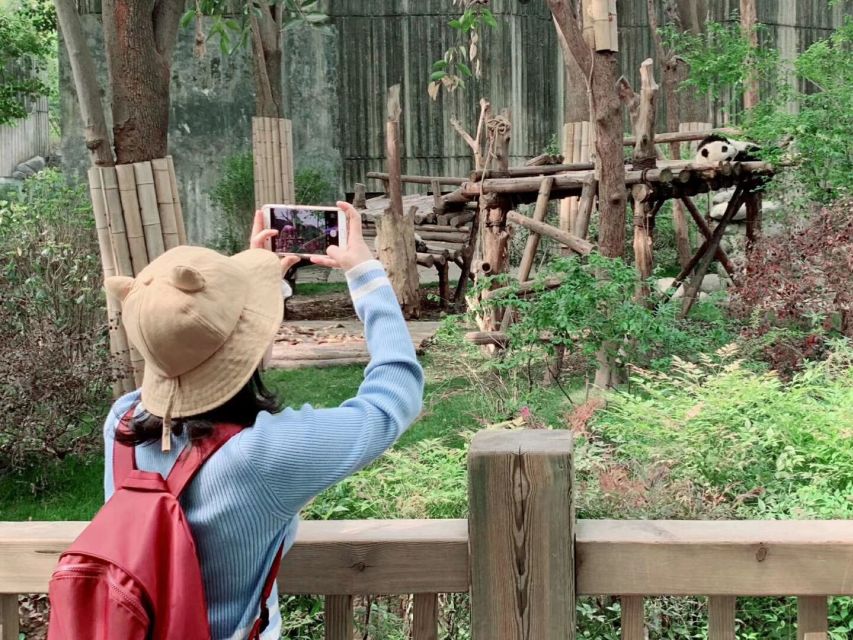 Chengdu: Private Panda Base Tour with 80 Pandas - What to bring and how to dress for comfort
