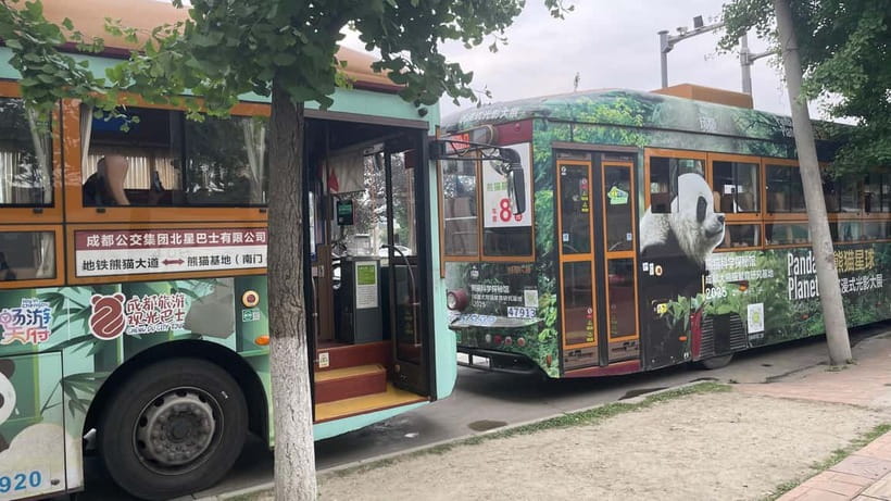 Chengdu: Private Tour at Panda Base with Guide - How the 3-hour Panda Base visit keeps your day moving
