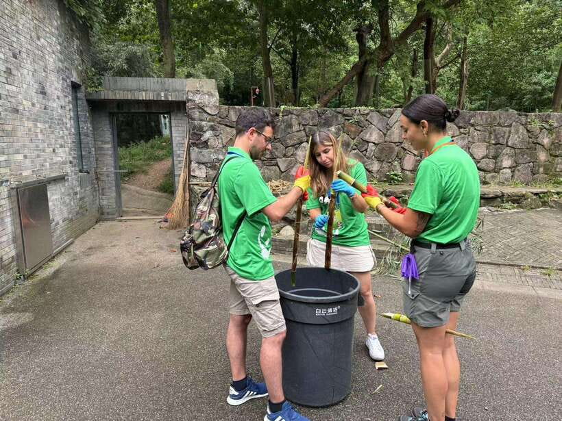 Chengdu: Volunteer Day Experience at Dujiangyan Panda base - Hotel Pickup and Arrival: The Day Runs on a Tight Schedule