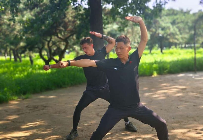 Chinese Kung Fu Experience Class in Beijing - The Moves You Learn: Stances, Punches, Joint Locks, and More