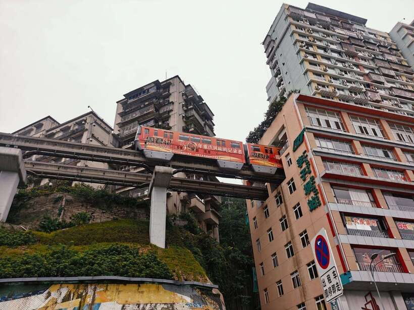 Chongqing: 1-day Essential Guided City Tour without Car - Kuixinglou Building to Liziba, the vertical-city icons