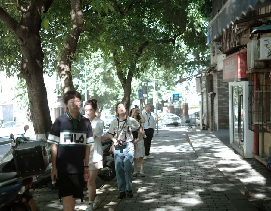 Chongqing 4-hour Hidden City Walking Tour with Local Guide - Huayi and Linhua streets, sky bridges, and the logic of hillside housing