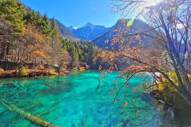 Classic 3-Day Jiuzhaigou Private Tour(Transportation+Tickets) - Key things I’d focus on before you book