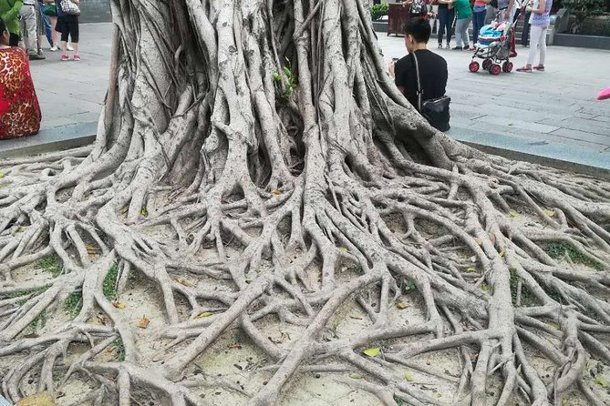 Customised Private Guangzhou City Tour with Flexible Itinerary - Liurong Temple (Temple of the Six Banyan Trees) and the Flower Pagoda: fast, meaningful, and free