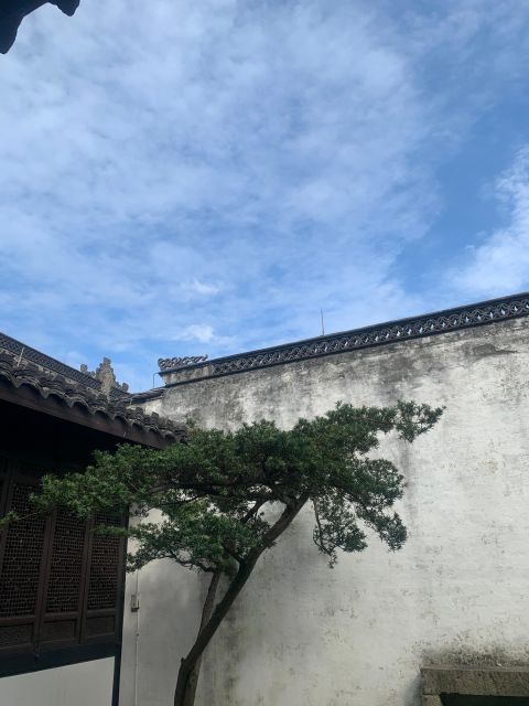 Customized Hangzhou Guided Tour Based on Your Interests - Song dynasty theme park vs Xixi Wetland Park: choose your mood
