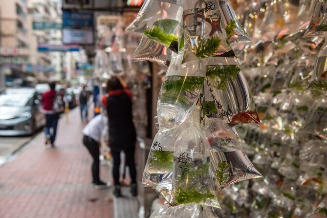 Dark Side of Hong Kong - Kowloon Caged Homes Walking Tour - Stop 5 on Yee Kuk Street: Sham Shui Po Backstreets and the Dark Economy