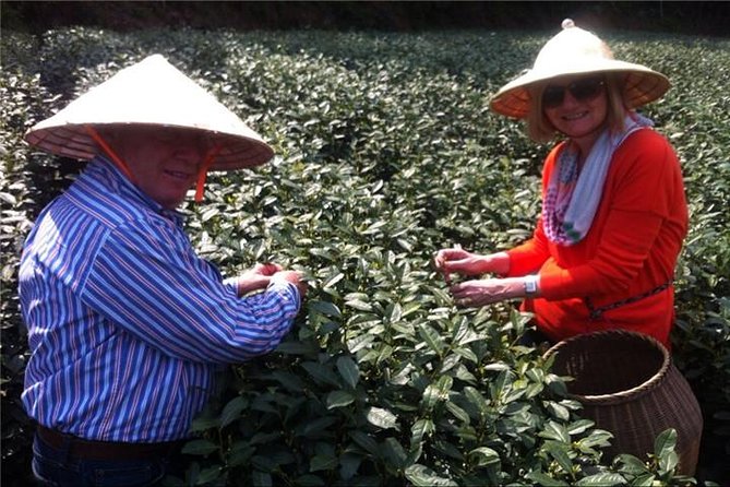 Day Tour to Discover the Secrets of Hangzhou's Tea Culture - West Lake pickup to Longjing: starting in the right mood
