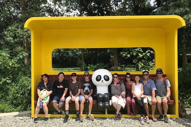 Dujiangyan irrigation+Mt. Qingcheng or Panda Park Day Tour - Choosing your option: Qingcheng plus irrigation, or pandas plus irrigation