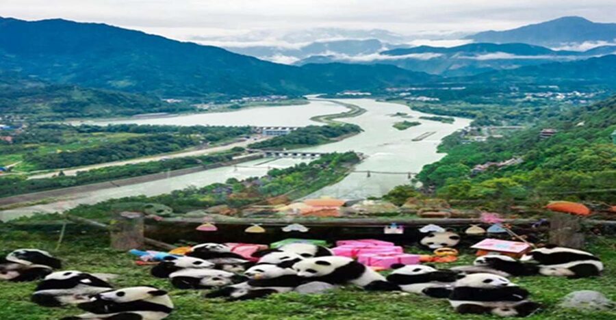 Dujiangyan panda base and irrigation system park day tour - Dujiangyan Panda Base and Irrigation, Why This Combination Works