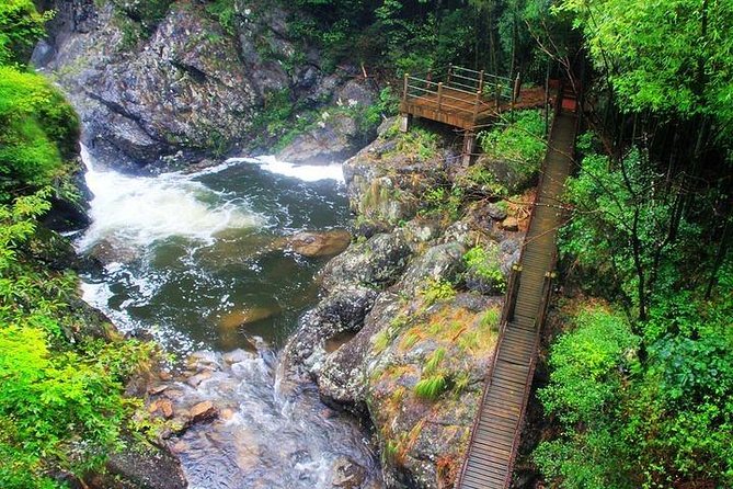 Dujiangyan Panda Base and Mount Qingcheng - Drivers, communication help, and what you can ask for