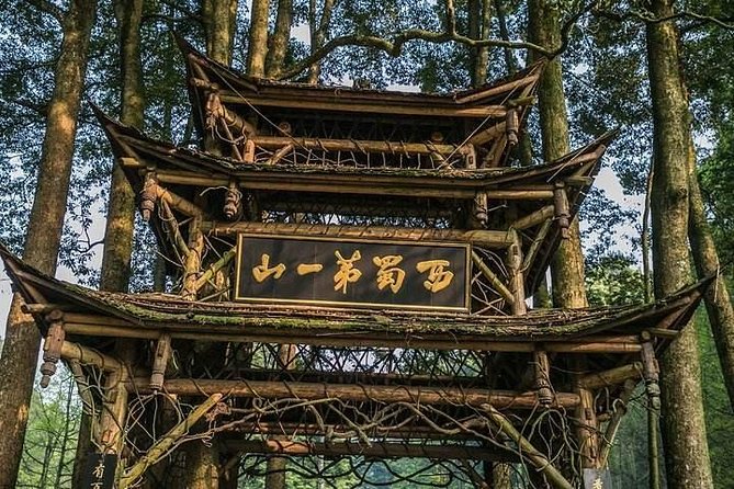 Dujiangyan Panda Base and Mount Qingcheng - Price and what you actually pay for at $60 per person