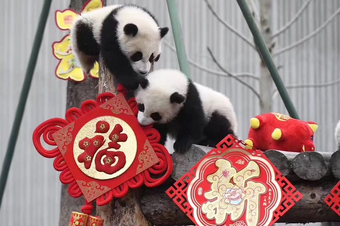 Dujiangyan Panda Base and Mount Qingcheng - Gardens and the 40 shelter system: why the layout helps