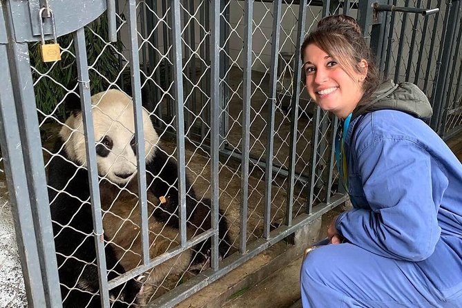 Dujiangyan Panda Volunteering Experience with Lunch - Why this panda volunteer day feels different from a normal visit