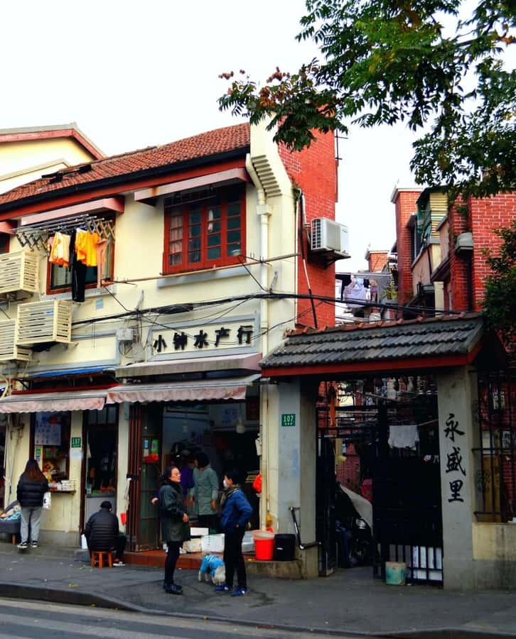 Experience Shanghai Like a Native: A Day in Local Life - Hotel Pickup and Metro Day Pass, the Smart Way to Start