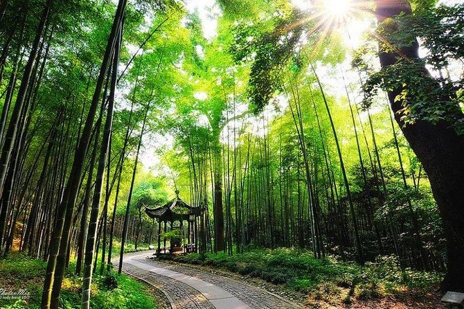 Flexible Hangzhou Private Day Tour with Lunch - Hefang Street stroll: ancient Hangzhou, with room to shop and snack