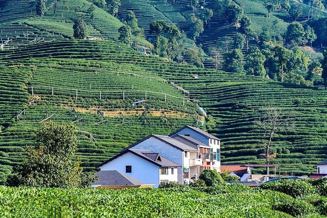 Flexible Hangzhou Private Tour from Shanghai by Bullet Train - Getting Set Up in Shanghai: Pickup, Hongqiao, and Train Time